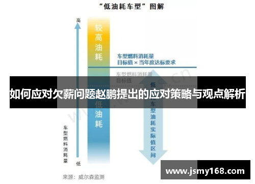 如何应对欠薪问题赵鹏提出的应对策略与观点解析