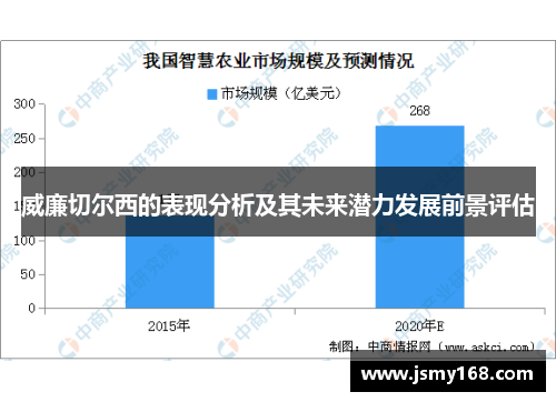 威廉切尔西的表现分析及其未来潜力发展前景评估